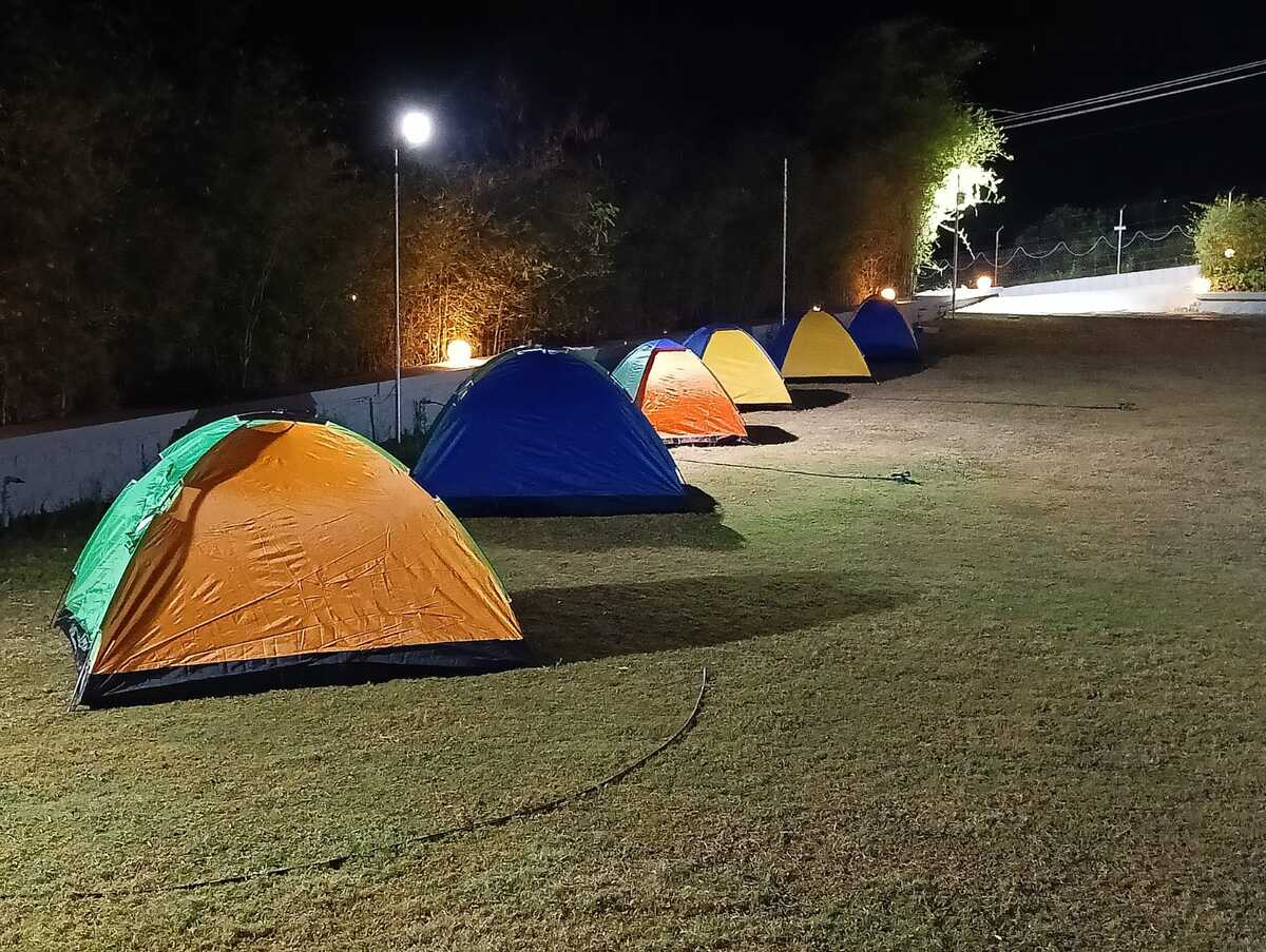 Lawn 5